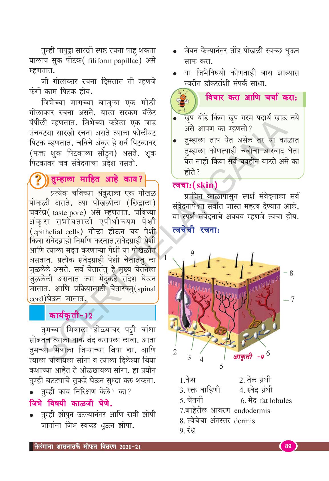 TS SCERT Class 9 Biological Science(Marathi Medium) Text Book - Page 101
