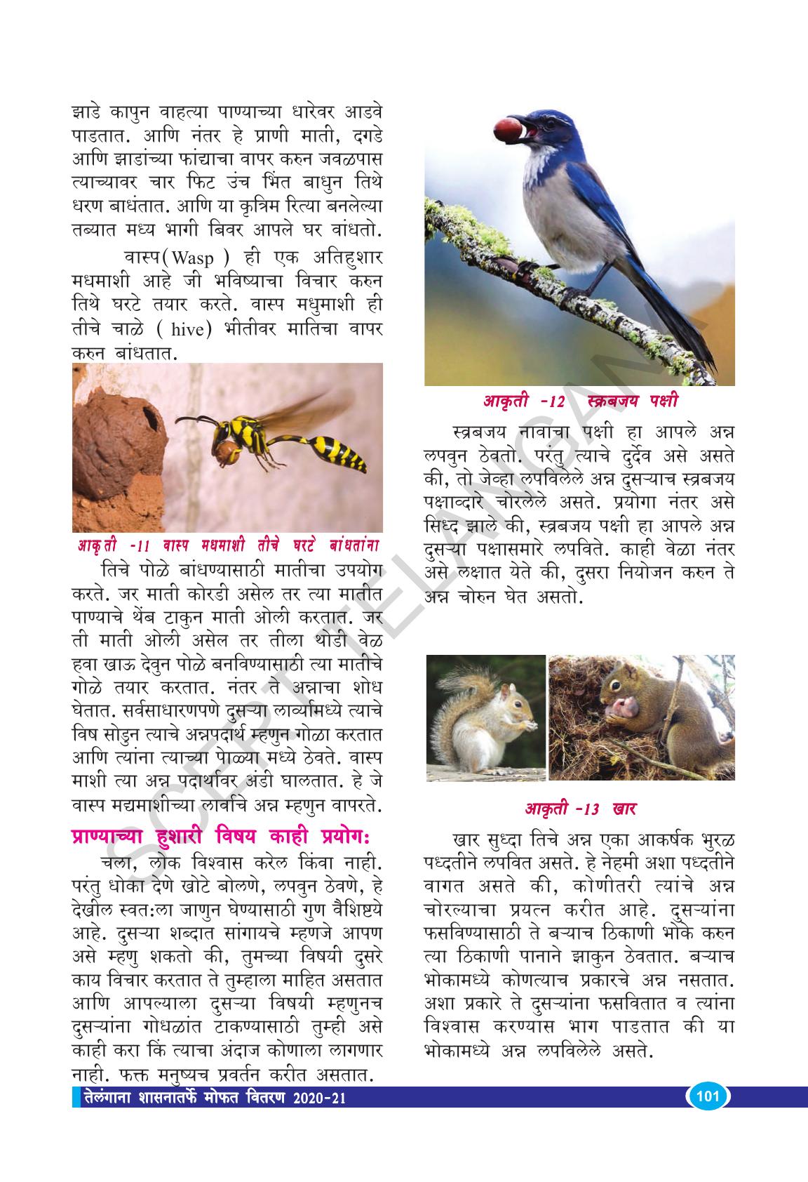 TS SCERT Class 9 Biological Science(Marathi Medium) Text Book - Page 113