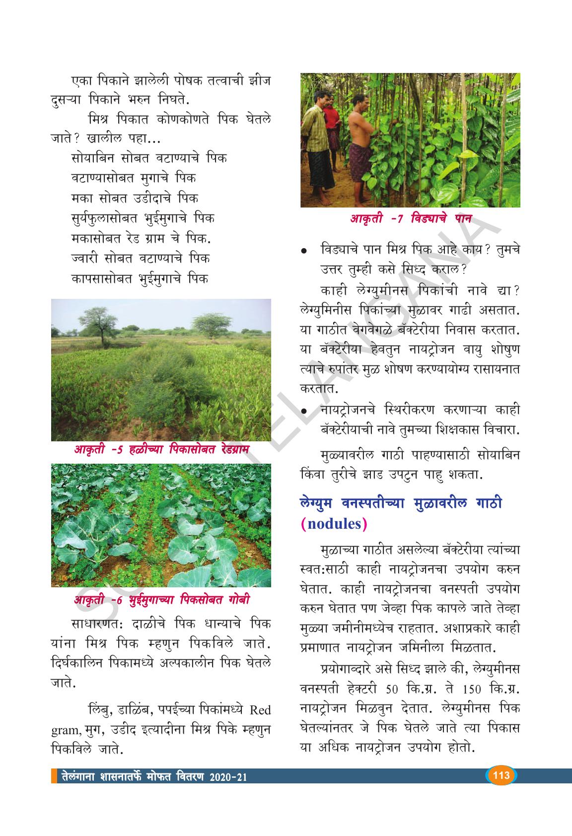 TS SCERT Class 9 Biological Science(Marathi Medium) Text Book - Page 125