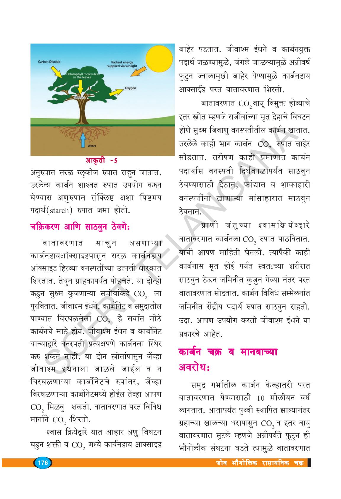 TS SCERT Class 9 Biological Science(Marathi Medium) Text Book - Page 188
