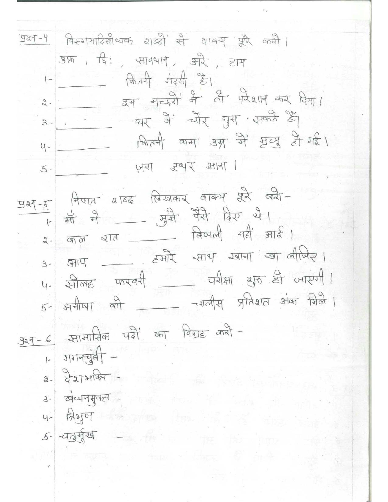 CBSE Worksheets for Class 8 Hindi Assignment 8 - Page 2