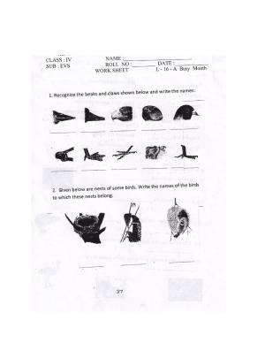 Worksheet for Class 4 Environmental Studies From Market to Home Assignment I