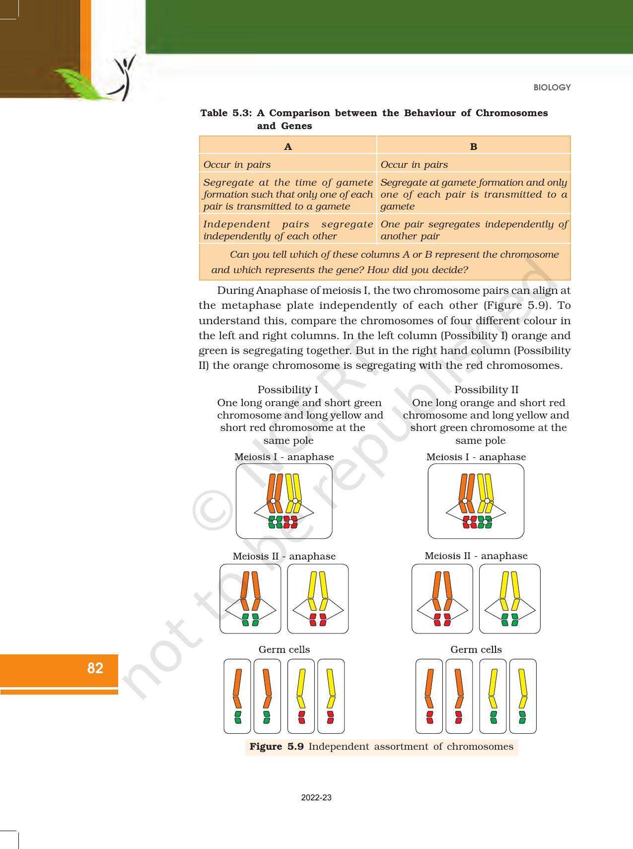 NCERT Book for Class 12 Biology Chapter 5 Principles of Inheritance and Variation - Page 16