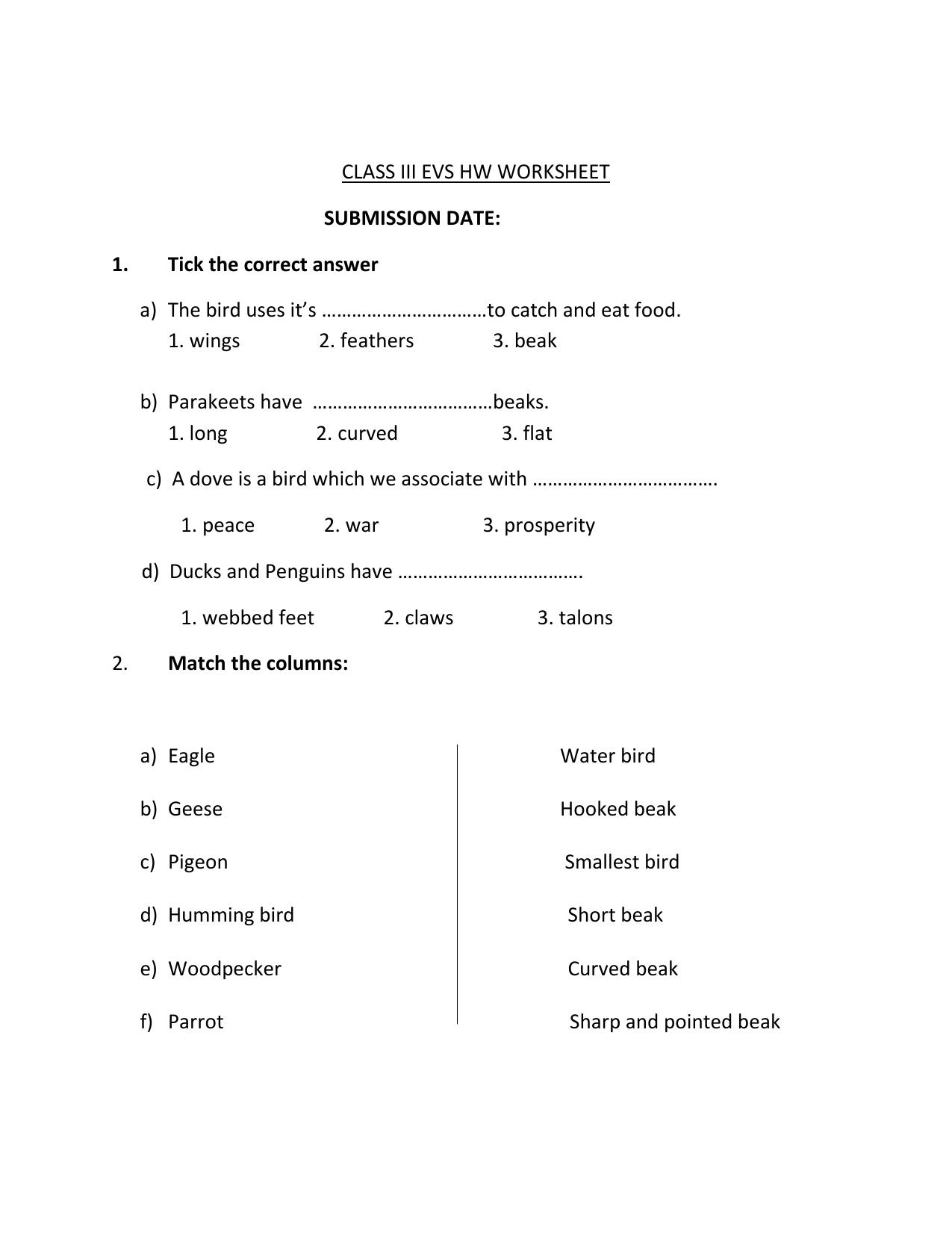 Worksheet for Class 3 EVS Assignment 49 Insects - Page 1