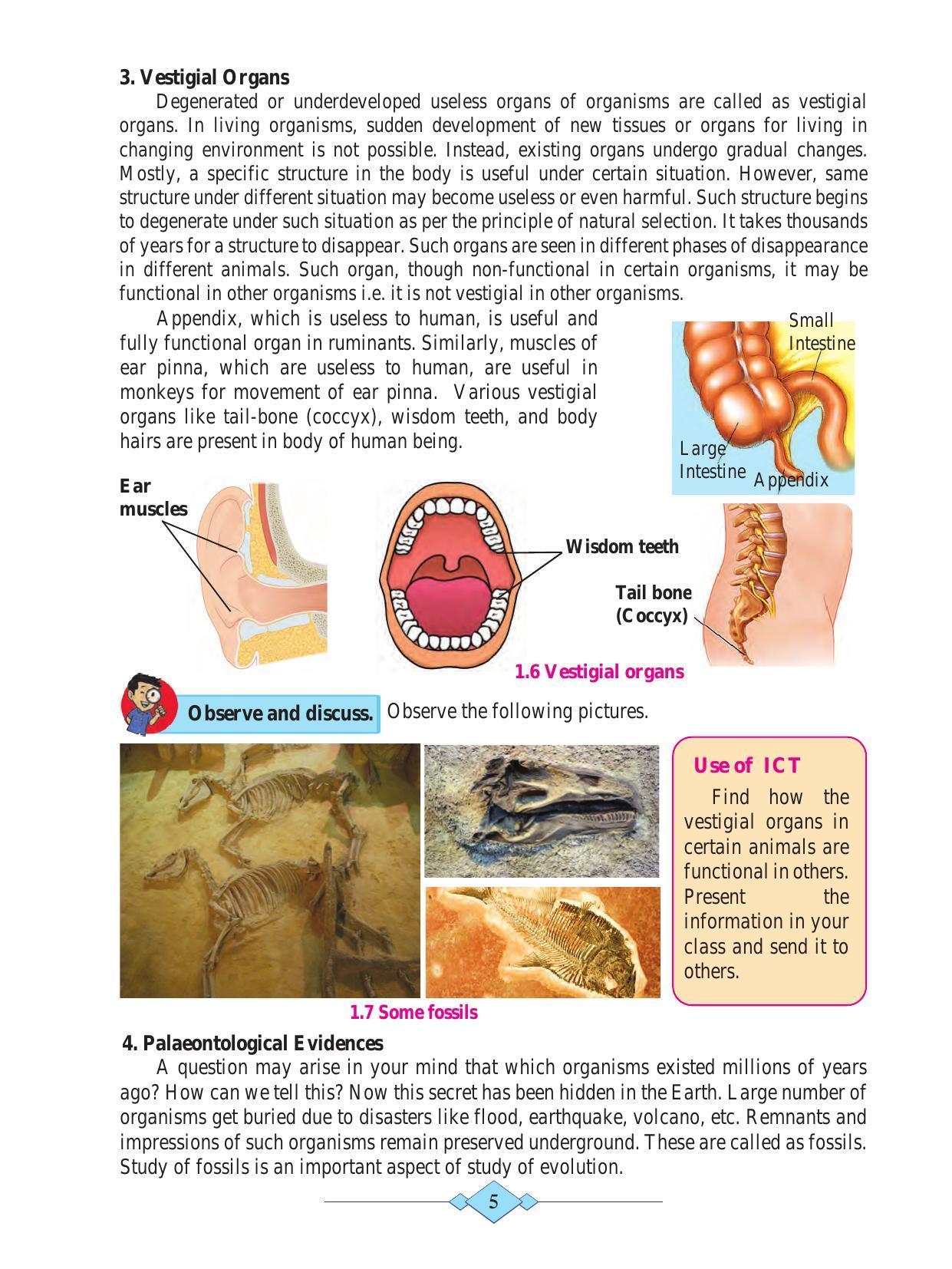 Maharashtra Board Class 10 Science (Part 2) Textbook - Page 15