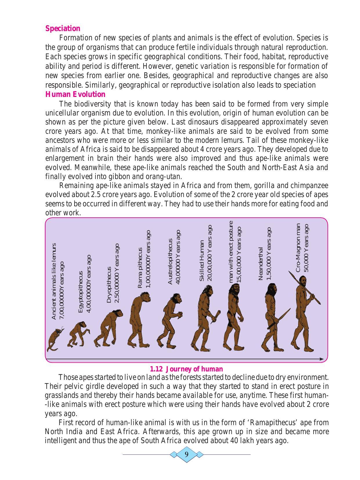 Maharashtra Board Class 10 Science (Part 2) Textbook - Page 19