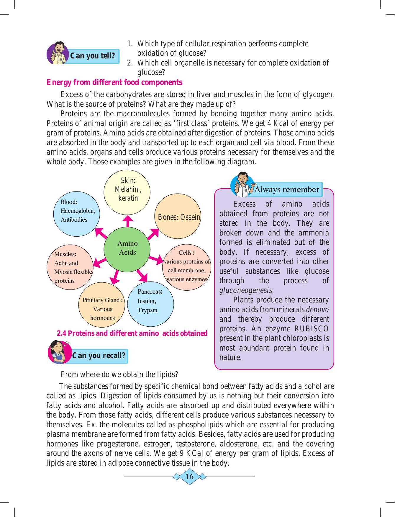Maharashtra Board Class 10 Science (Part 2) Textbook - Page 26