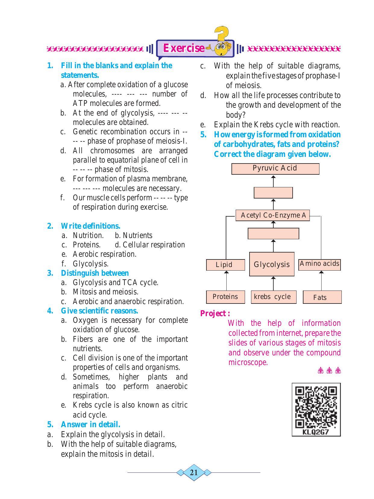 Maharashtra Board Class 10 Science (Part 2) Textbook - Page 31