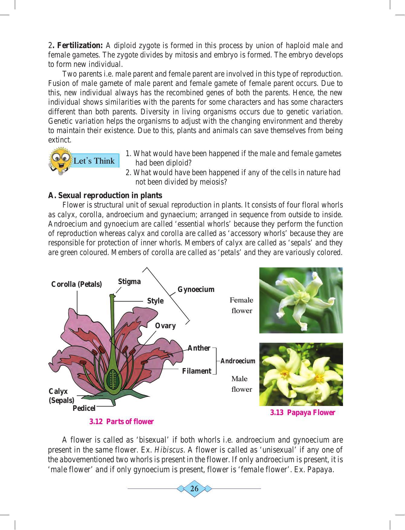 Maharashtra Board Class 10 Science (Part 2) Textbook - Page 36