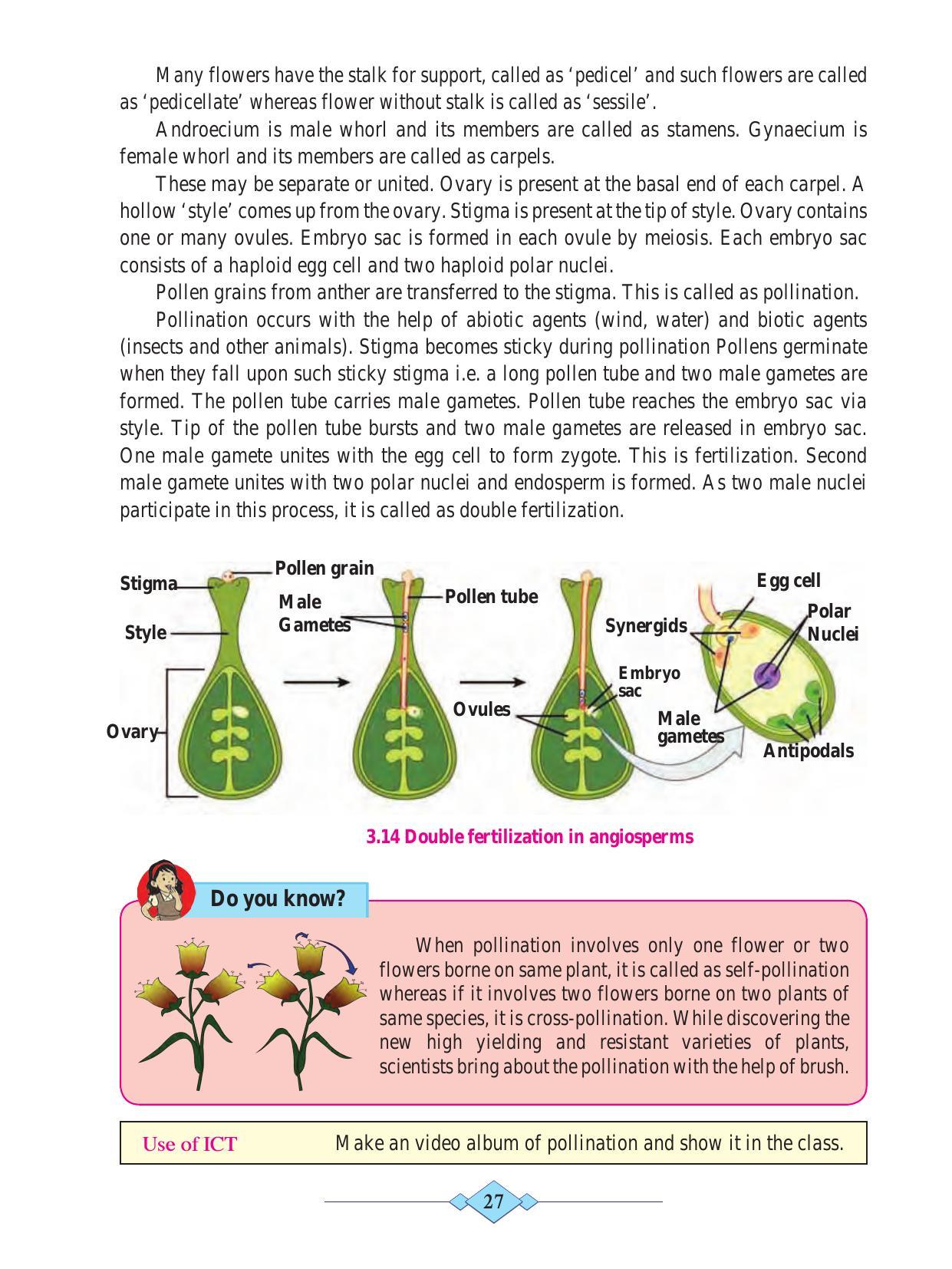 Maharashtra Board Class 10 Science (Part 2) Textbook - Page 37
