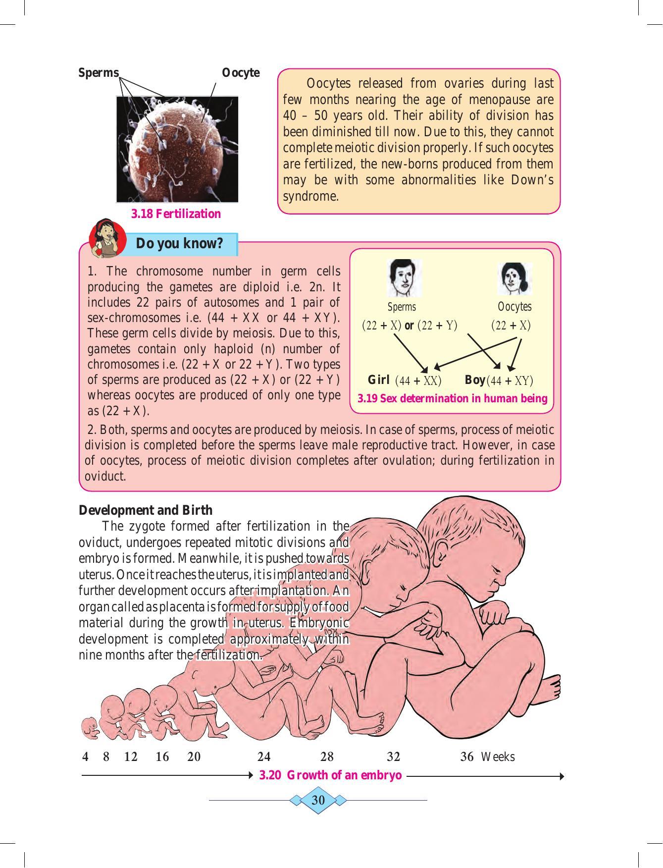 Maharashtra Board Class 10 Science (Part 2) Textbook - Page 40