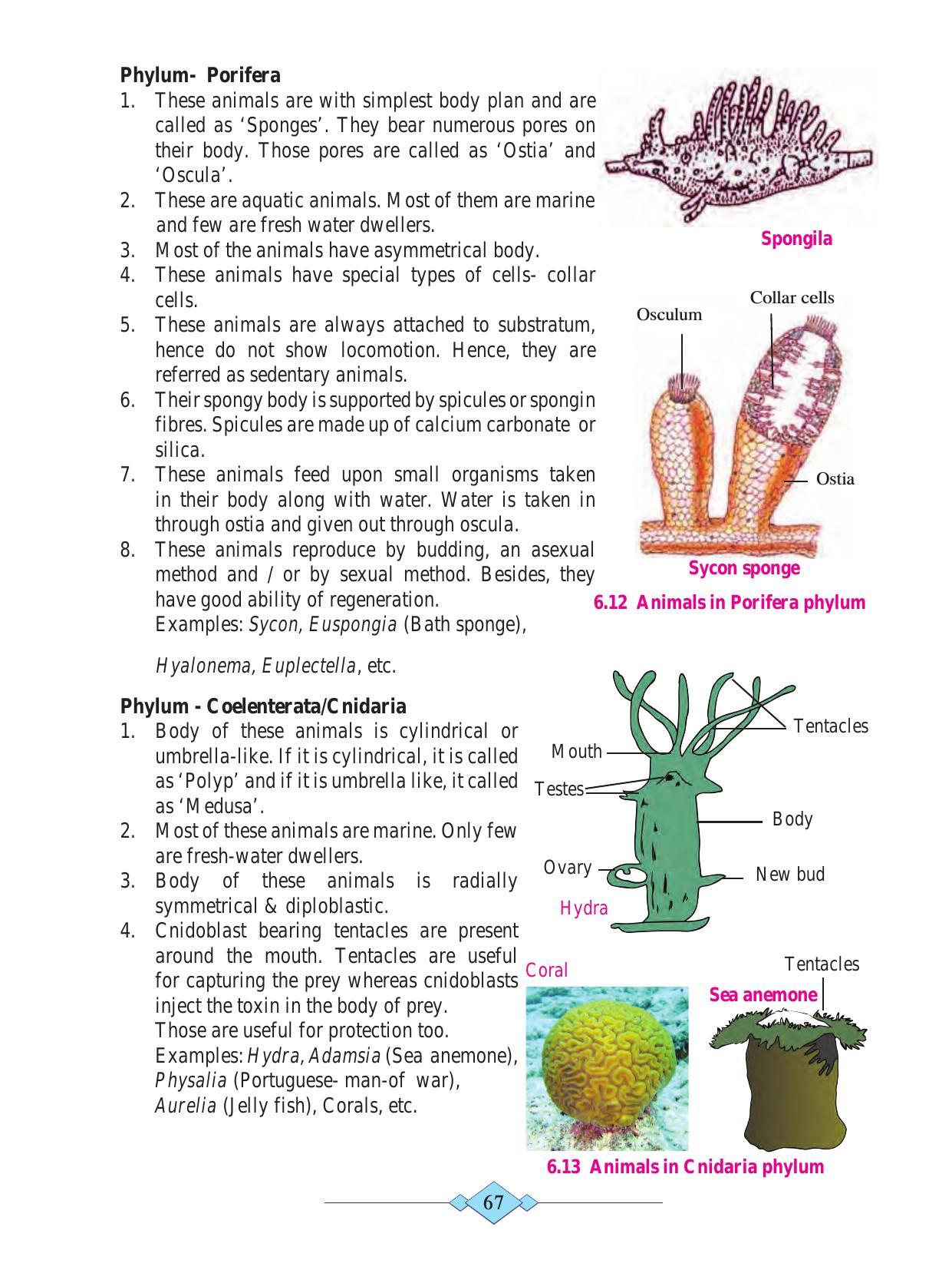 Maharashtra Board Class 10 Science (Part 2) Textbook - Page 77