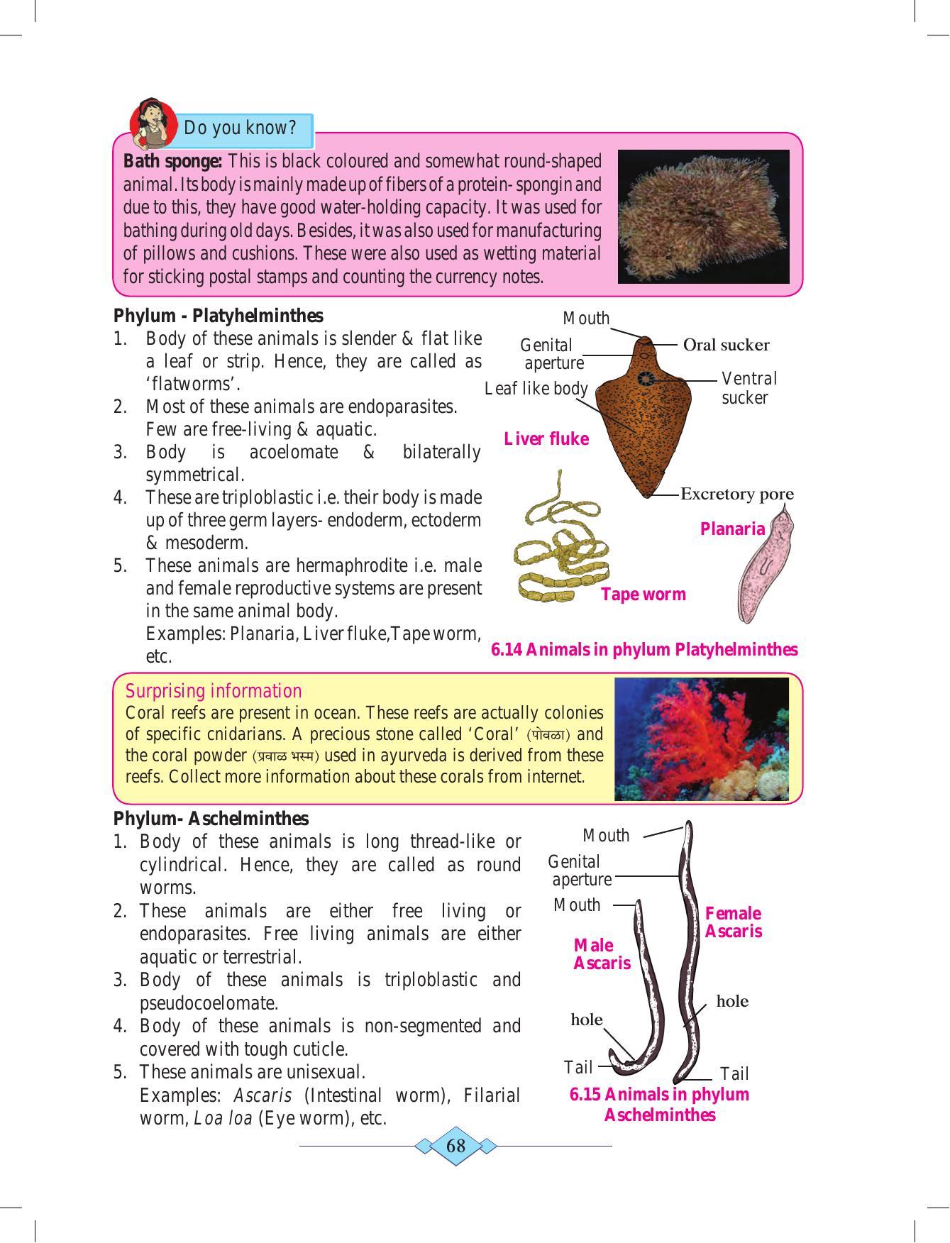 Maharashtra Board Class 10 Science (Part 2) Textbook - Page 78