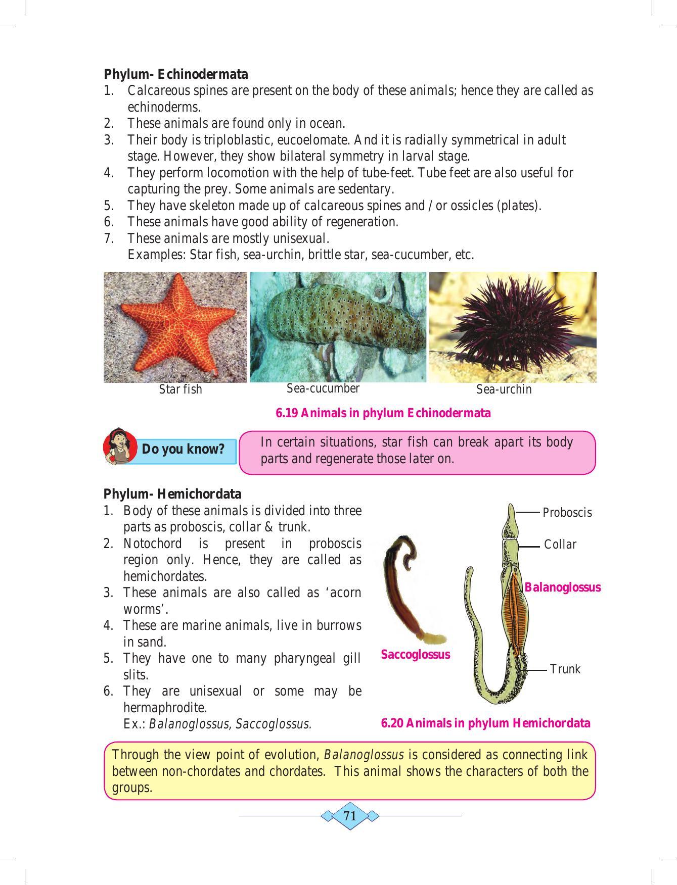 Maharashtra Board Class 10 Science (Part 2) Textbook - Page 81