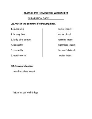 Worksheet for Class 3 EVS Assignment 67 Insects
