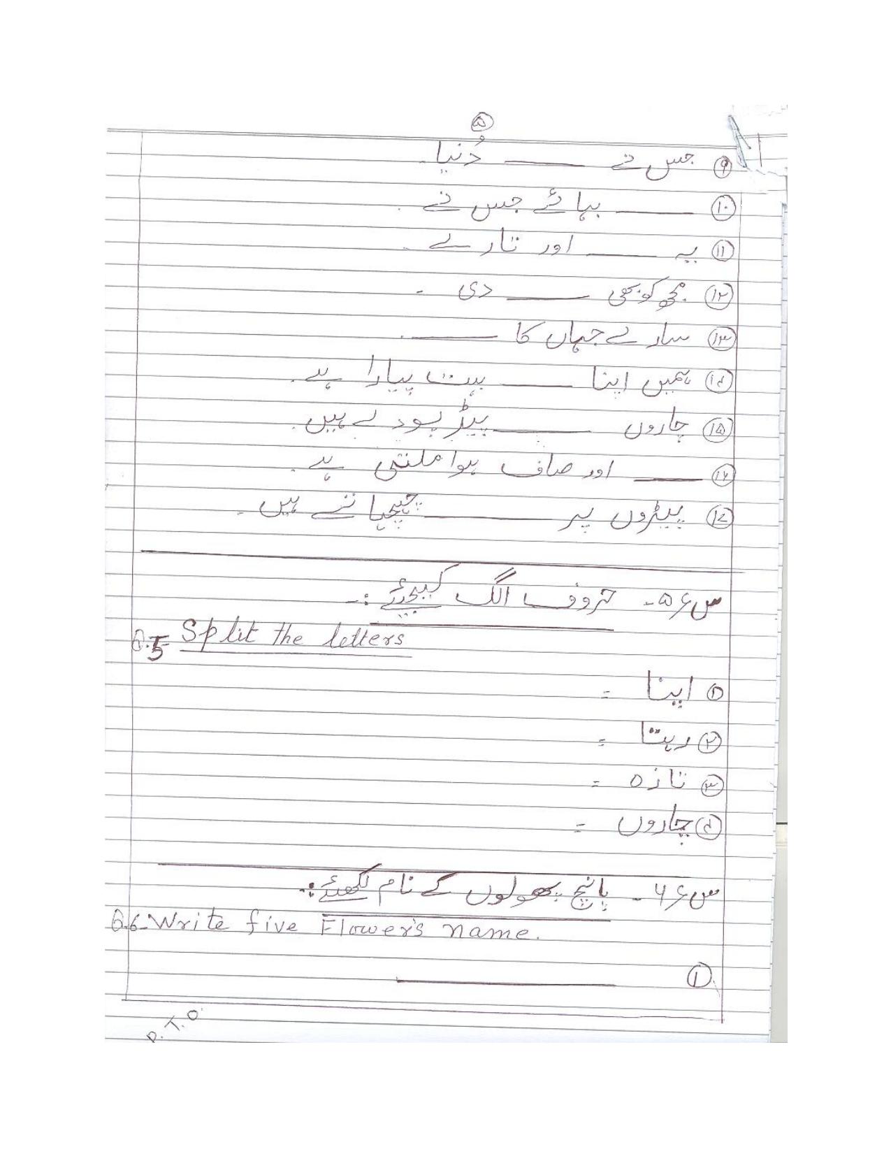Worksheet for Class 3 Urdu Assignment 2 - Page 5