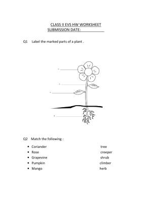 Worksheets for Class 2 EVS Assignment 33 Plants