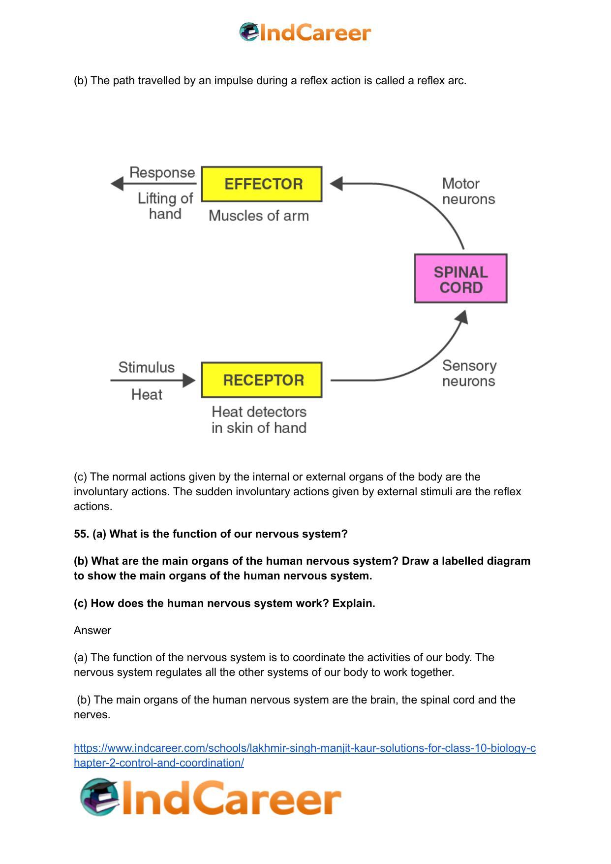 Lakhmir Singh Manjit Kaur Solutions for Class 10 Biology: Chapter 2- Control And Coordination - Page 44