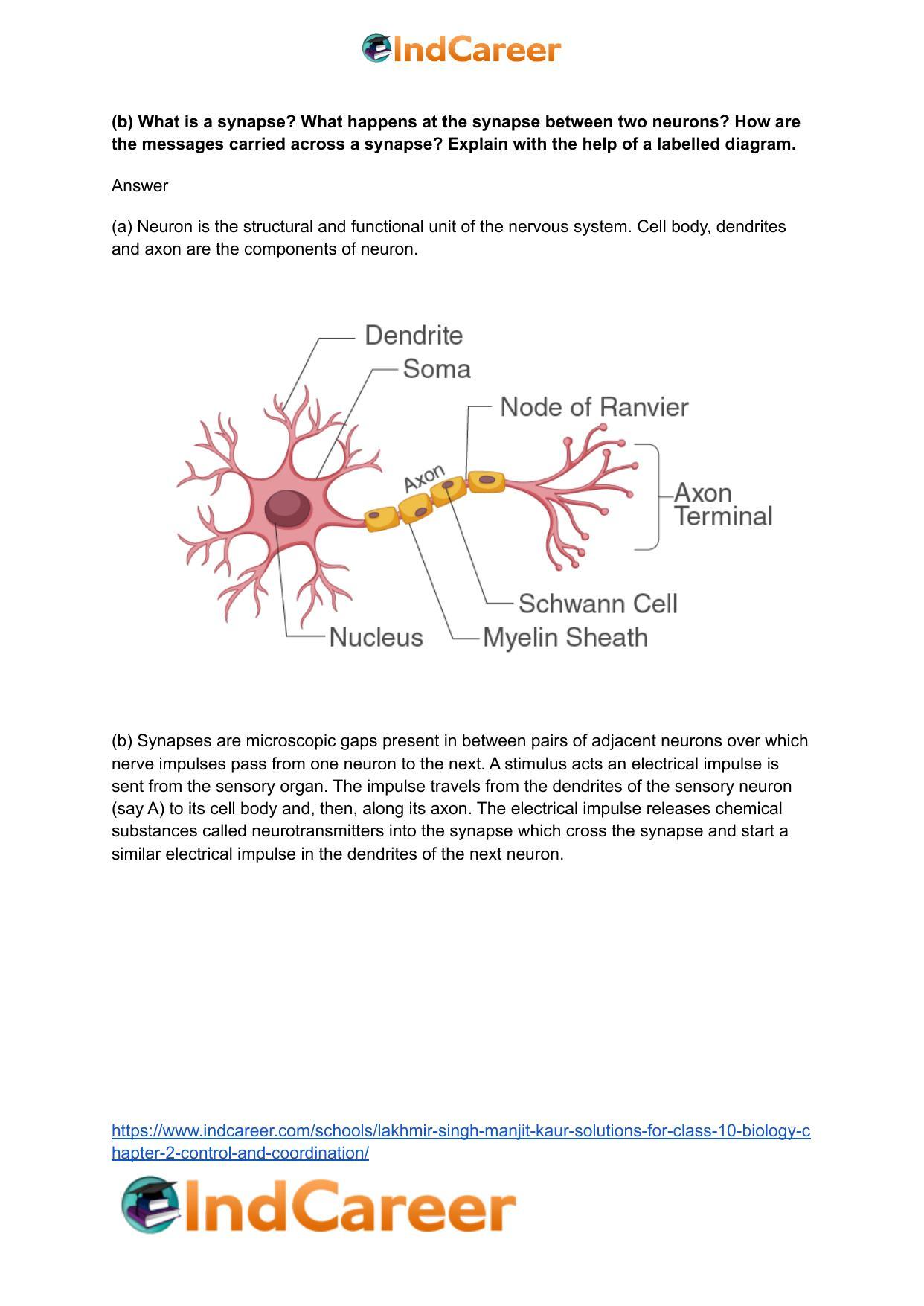 Lakhmir Singh Manjit Kaur Solutions for Class 10 Biology: Chapter 2- Control And Coordination - Page 46