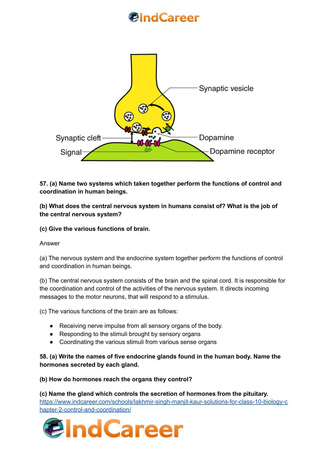 Lakhmir Singh Manjit Kaur Solutions for Class 10 Biology: Chapter 2- Control And Coordination - Page 47