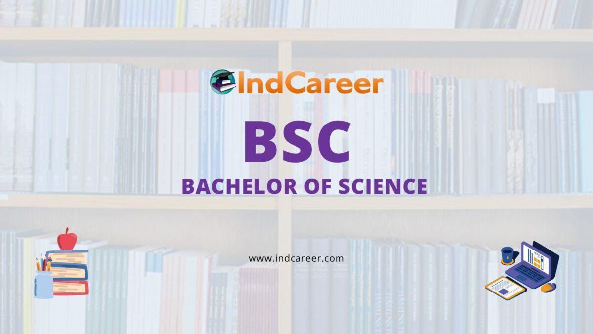 Bachelor of Science (BSc)