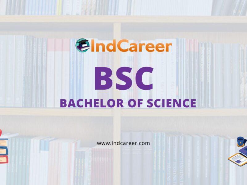 Bachelor of Science (BSc)