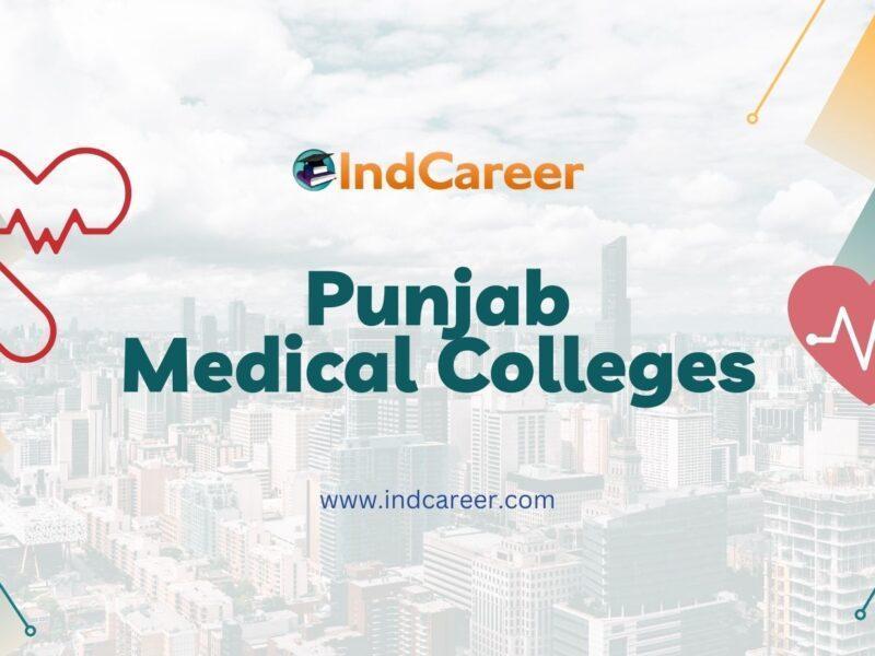 Punjab Medical Colleges