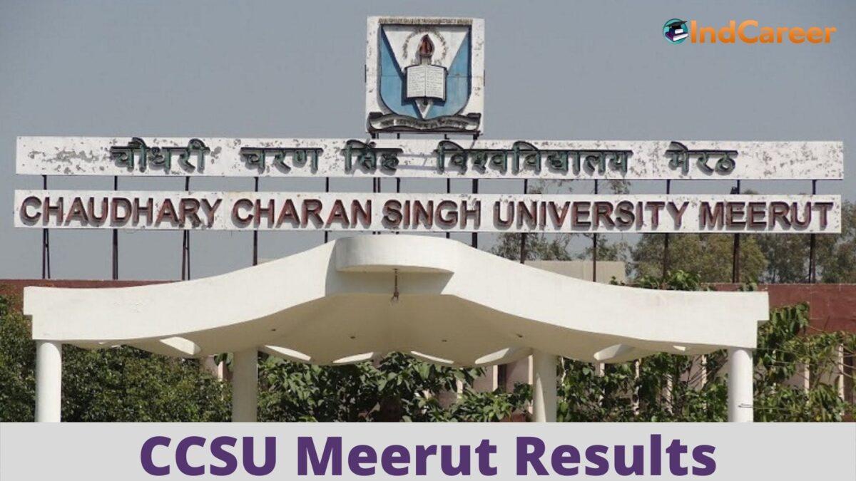 CCSU Meerut Results @ Ccsuniversity.Ac.In: Check UG, PG Results Here