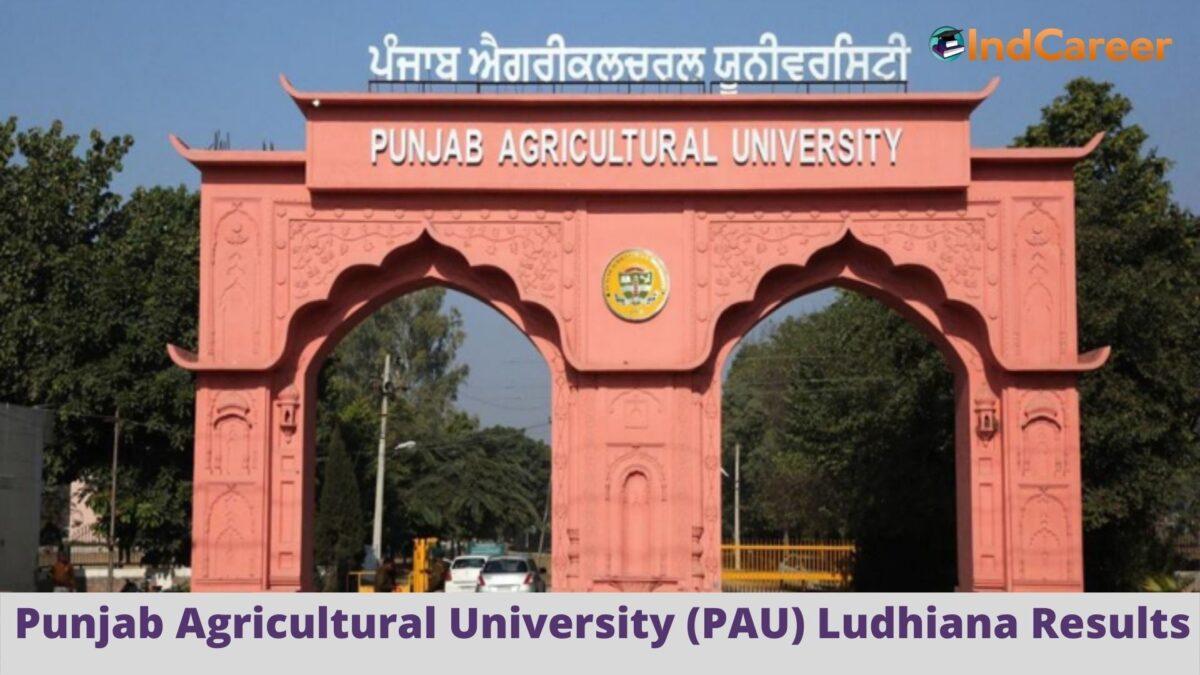 PAU Ludhiana Results @ Pau.Edu: Check UG, PG Results Here