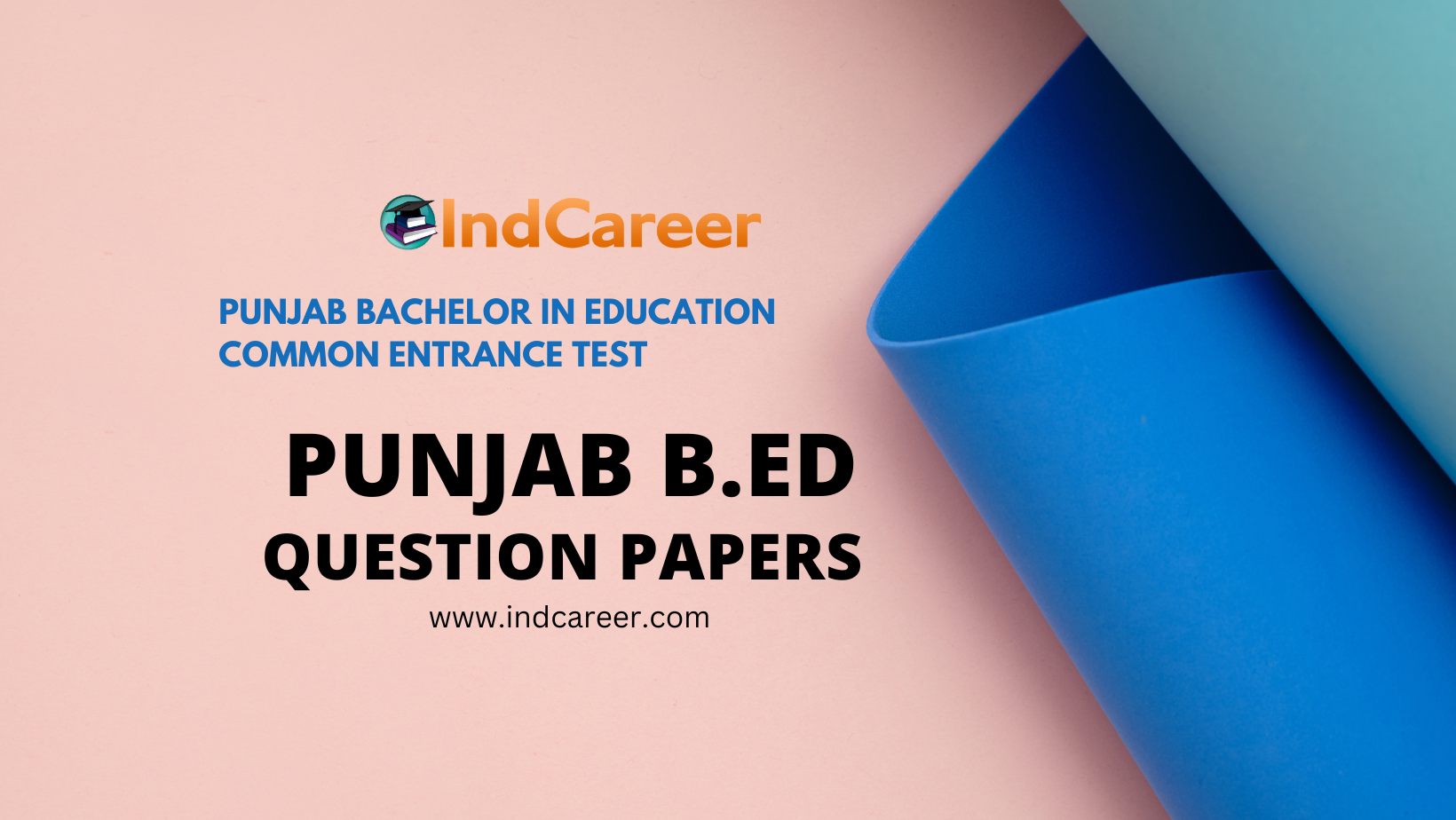 Punjab B.Ed Question Papers