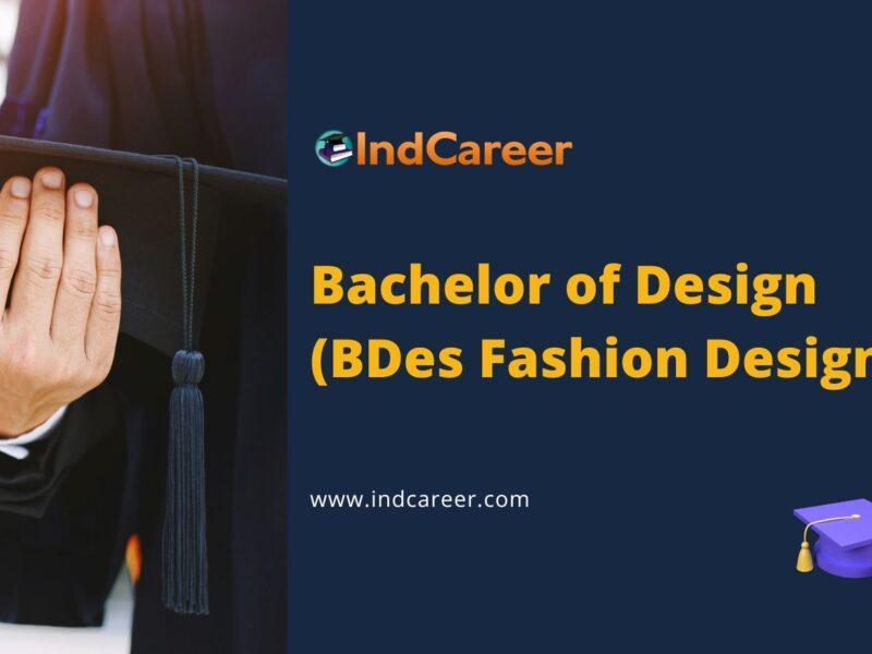 Bachelor of Design (BDes Fashion Design)