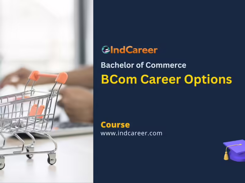 BCom Career Options