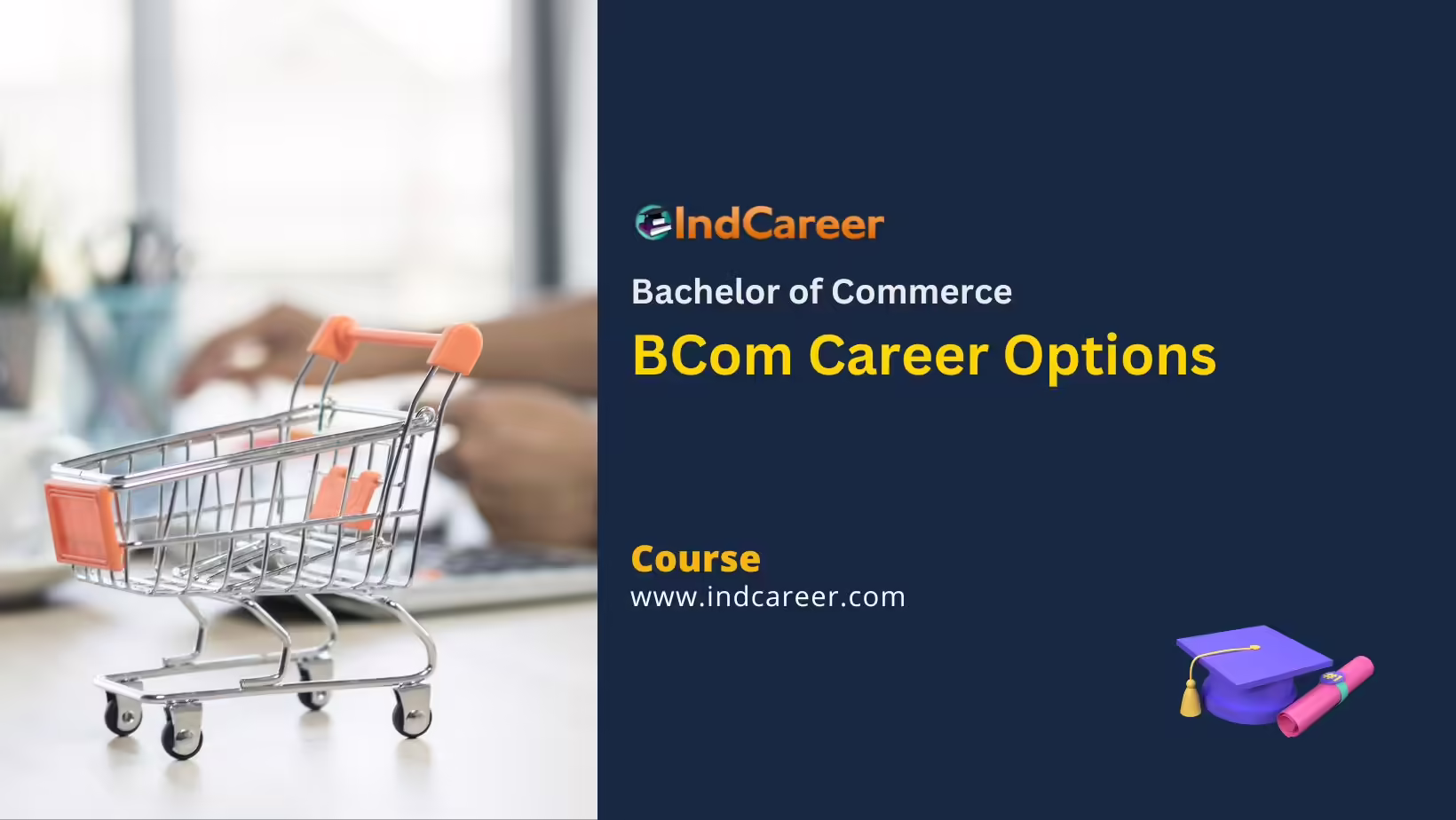 BCom Career Options