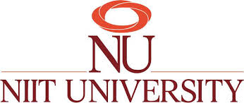 NIIT University Scholar Search Program