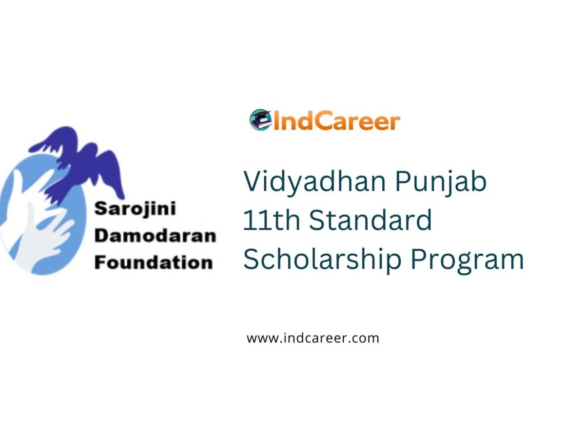 Vidyadhan Punjab 11th Standard Scholarship Program