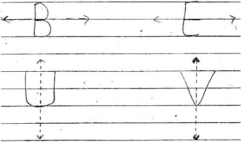 CBSE Solved Sample Papers for Class 6 - Maths Image CBSE Solved Sample Papers for Class 6 - Maths