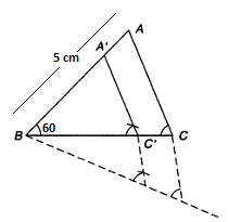 NCERT Solutions for 10th Class Maths: Chapter 11 - Constructions Ex. 11.1 Que. 5