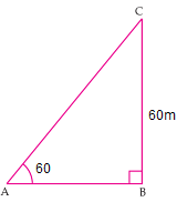 NCERT Solutions for 10th Class Maths: Chapter 9- Some Applications of Trigonometry Ex. 9.1 Que. 5