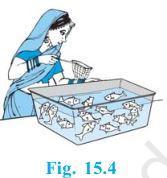 NCERT Solutions for Maths: Chapter 15 - Probability Ex. 15.1 Que. 11
