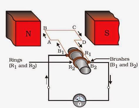 Diagram of Electric Generator NCERT Solutions for Class 10 Science: Chapter 13 - Magnetic Effects of Electric Current Page No: 241 Que.16