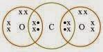 NCERT Solutions for Class 10 Science: Chapter 4 Carbon and Its Compounds Page No: 61 Que. 1
