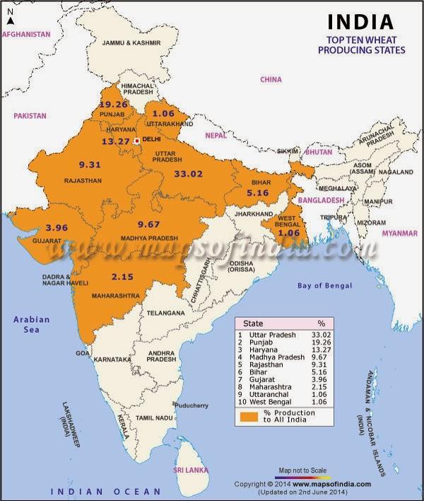 Map Showing top wheat producing states NCERT Solutions for Class 10 Geography Chapter 4- Agriculture Project Work Que. 2