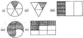 NCERT Solutions for 6th Class Maths: Chapter 7-Fractions