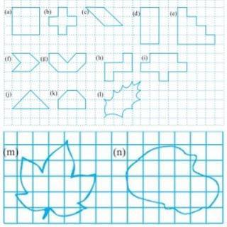 NCERT Solutions for 6th Class Maths: Chapter 10-Mensuration