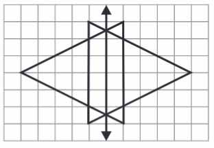 Exercise 13.1 Answer 6 Class 6 Maths
