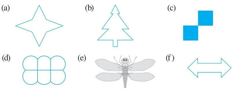 Exercise 13.3 Question 1 Class 6 Maths