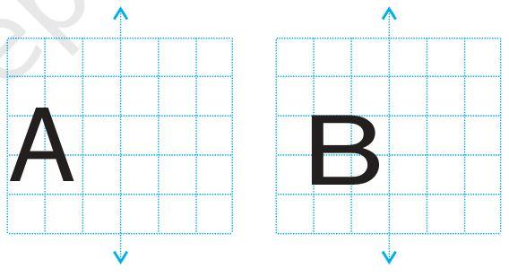 Exercise 13.3 Question 3 Class 6 Maths