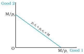 Budget Line NCERT Solutions for 12th Class Economics (Microeconomics): Chapter 2-Theory of Consumer Behaviour Microeconomics Que. 2