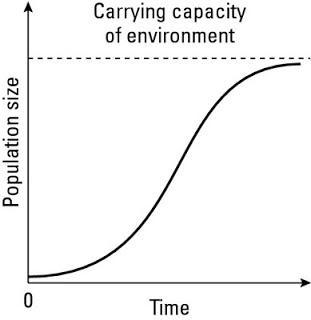 NCERT Solutions for 12th Class Biology: Chapter 13-Organisms and Populations Que. 16