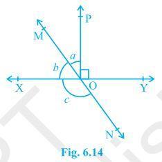 NCERT Solutions for 9th Class Maths : Chapter 6 Lines and Angles Ex. 6.1 Que. 2